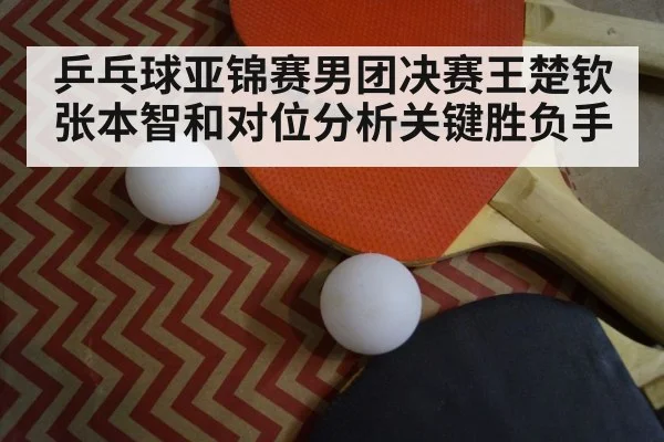 table tennis paddle and ball